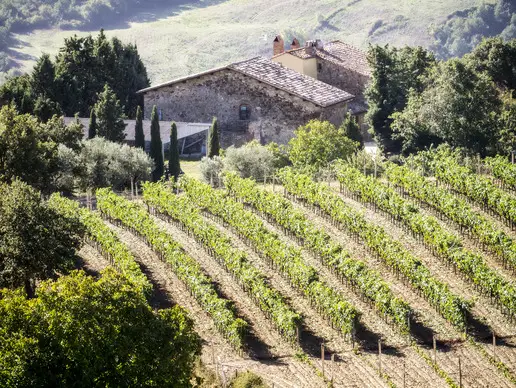 Degustación de vinos