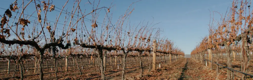 bodegas urbanas