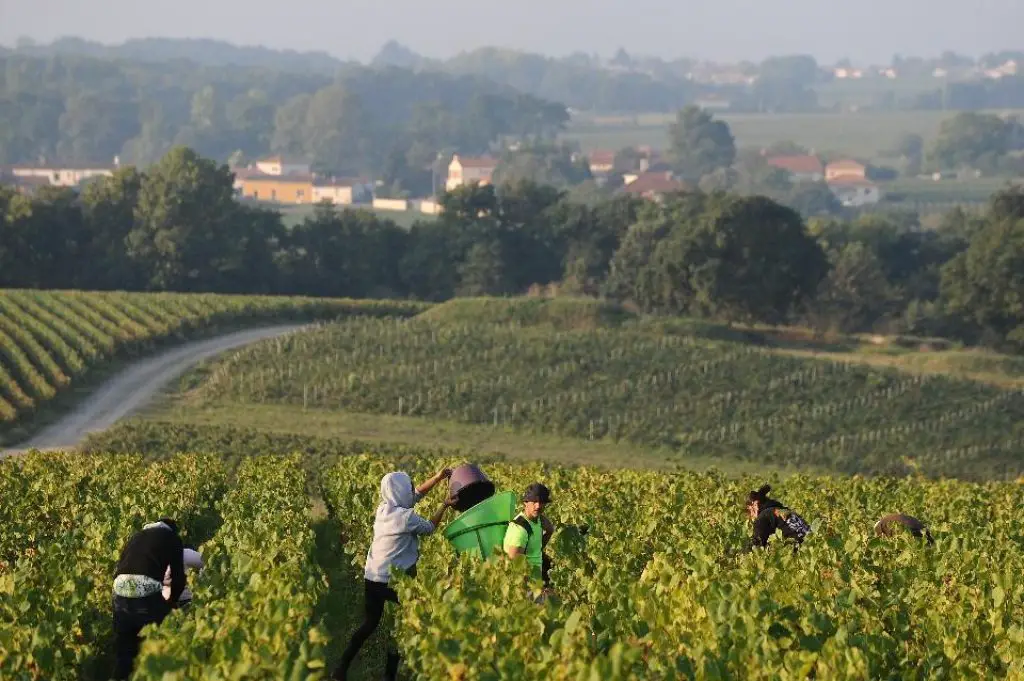 mejores destinos para el vino