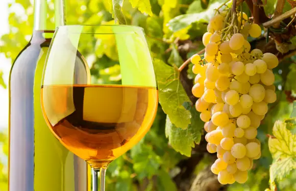Sauvignon Blanc
