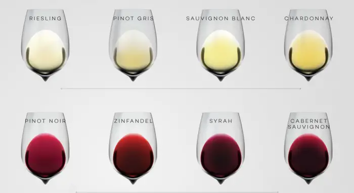 Tipos comunes de vino
