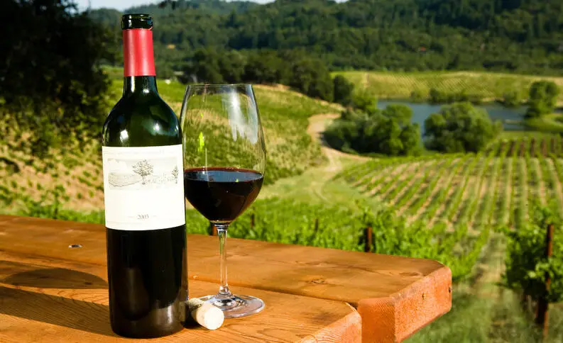 ¿Cuáles son las mejores degustación de vinos?