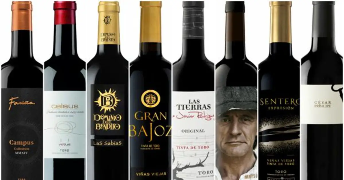 ¿Cuáles son las mejores vinos de cigales?