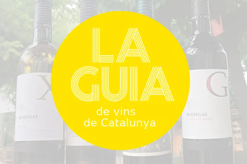 Guía de compra de cavas para vinos superiores del mercado en curso