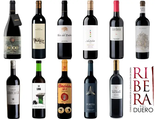 Guías sobre modelos que están marcando tendencia: Todo sobre vinos caros ribera del duero
