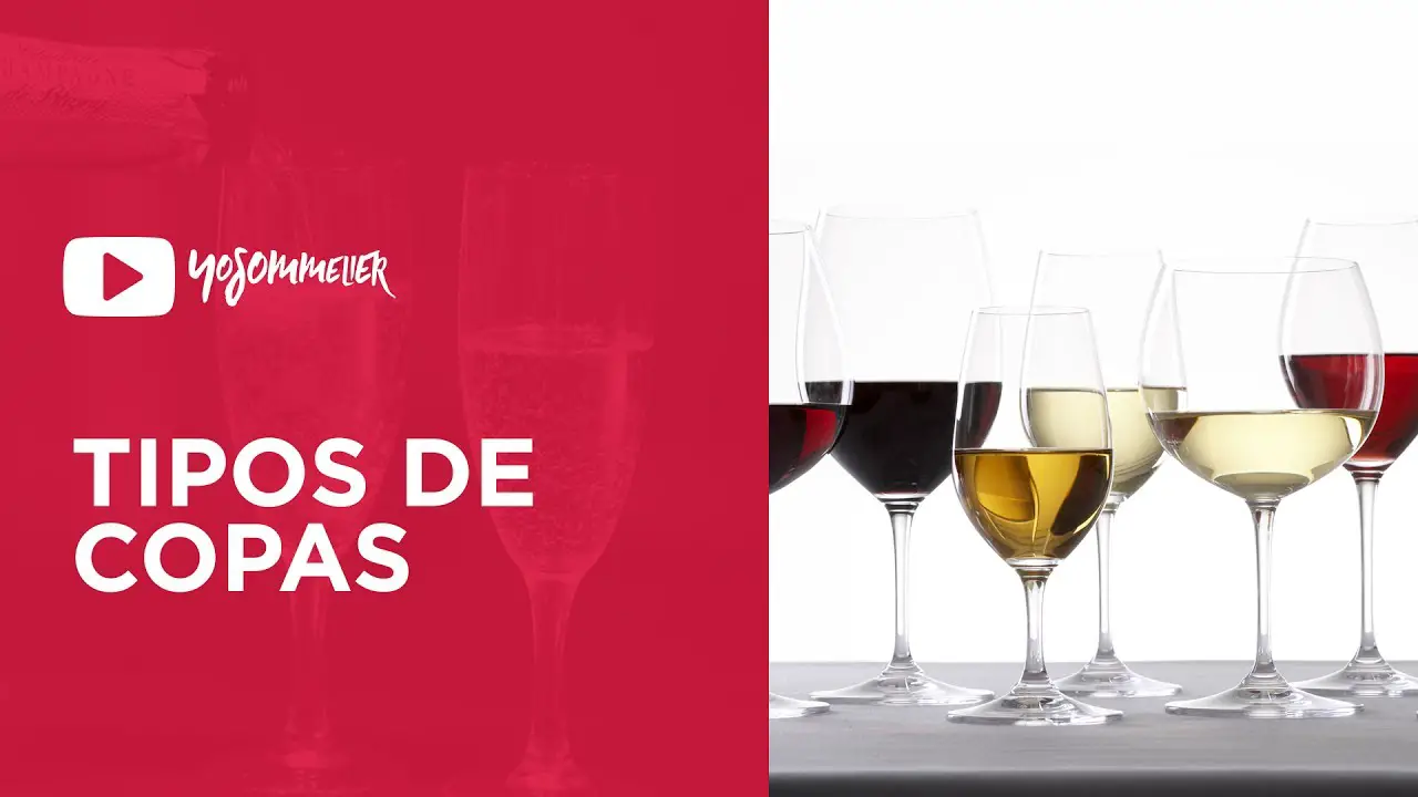 Guías sobre referencias que están marcando tendencia: Todo sobre vino blanco