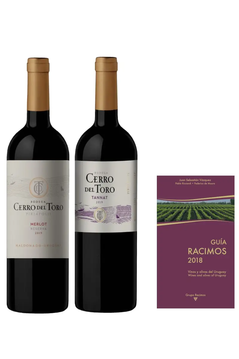 Guías y catálogos sobre vinos de toro buenos