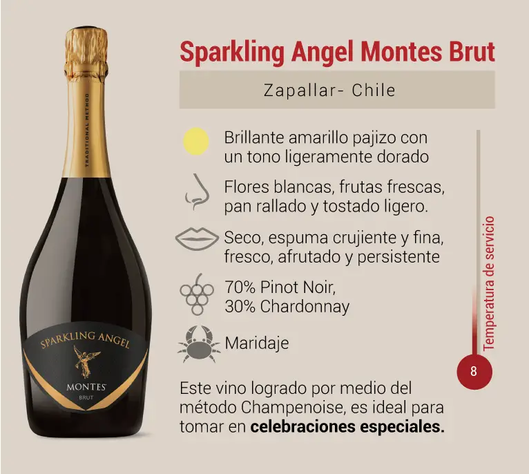 Mejores guías para atrapar vino espumante vino espumante