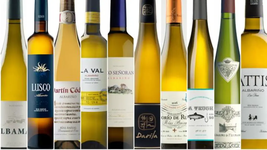 Nuestro ranking 10 de vinos albariño