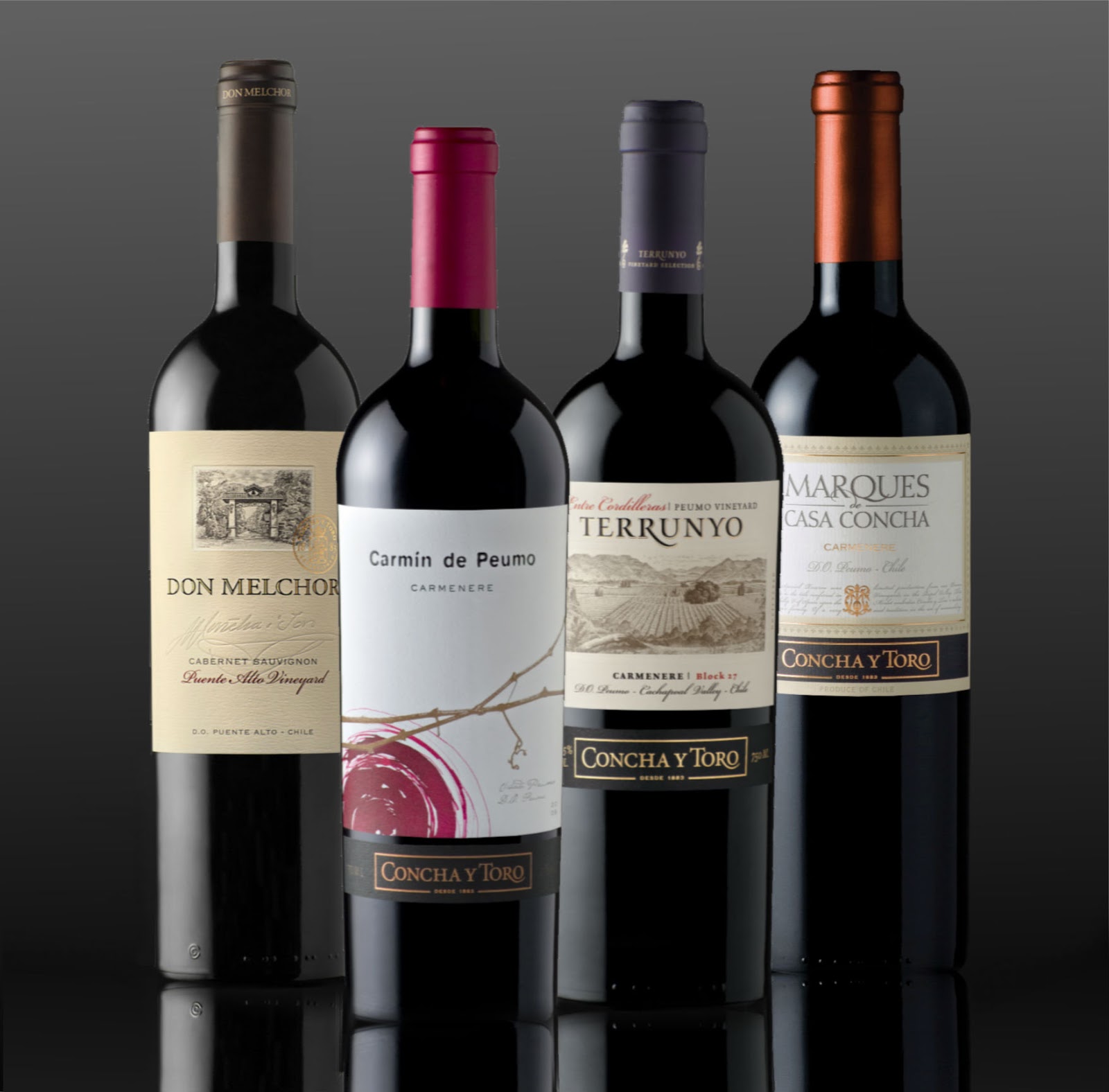 Ofertas, descuentos y más gangas de garum vino garum vino