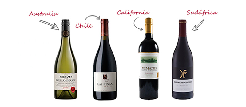 ¿Por qué son santa cecilia vinos más adquiridos de todo el mundo de la temporada de invierno