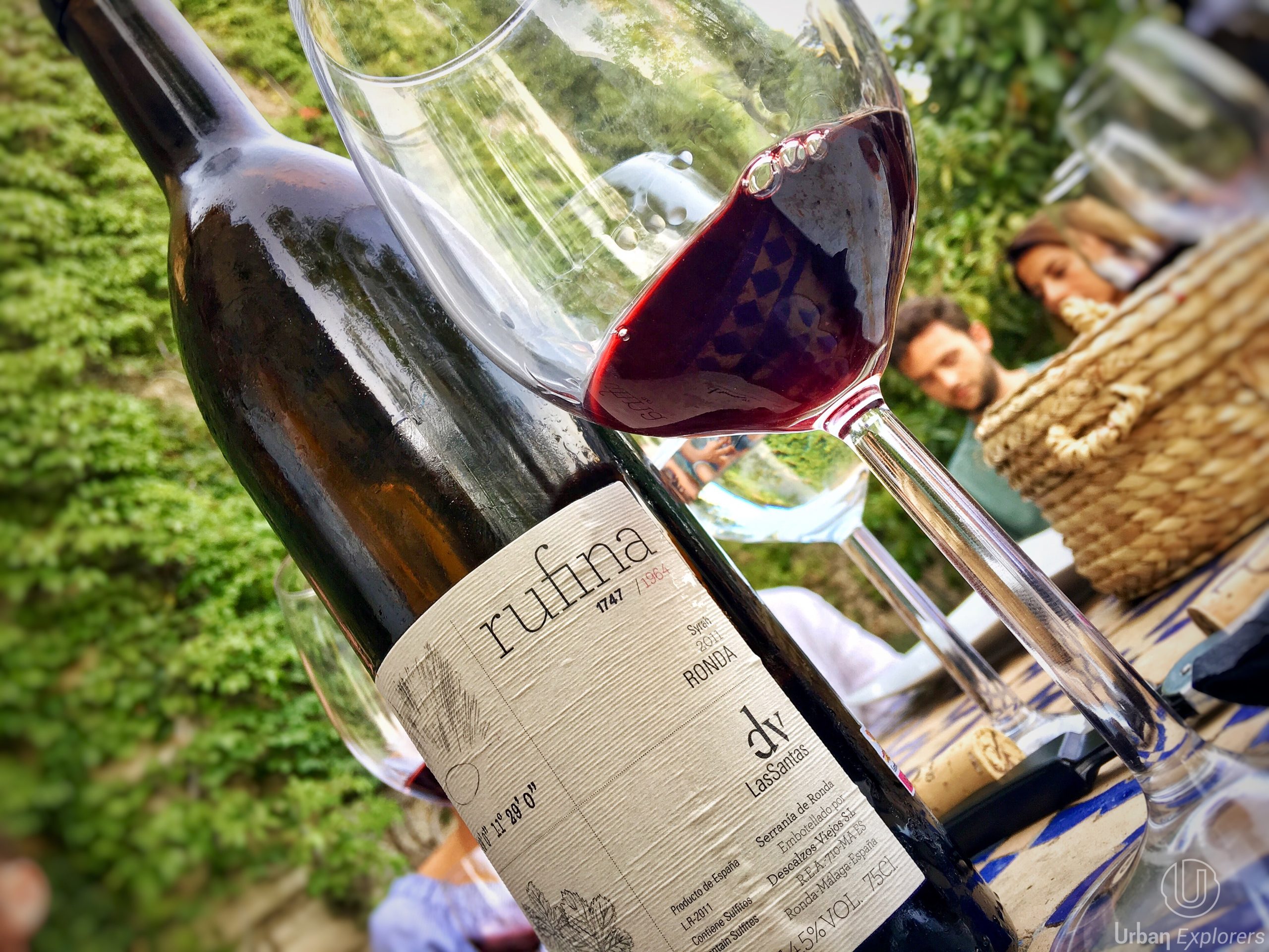 ¿Qué vinos andaluces, la guía decisiva