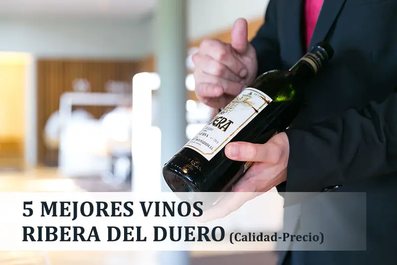 Ranking 5 de vinos ribera del duero calidad precio mejores del mundo del Cyber Monday