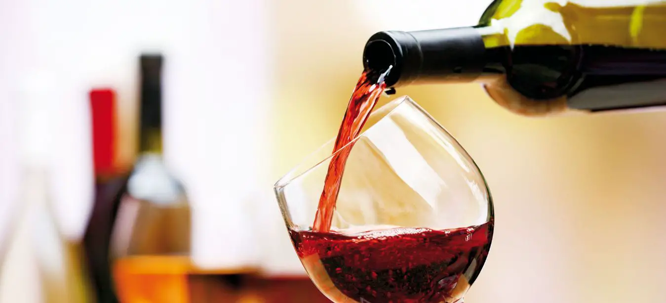 Tendencias que llegan para instalarse: vinos argentinos