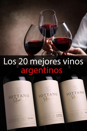 vinos argentinos