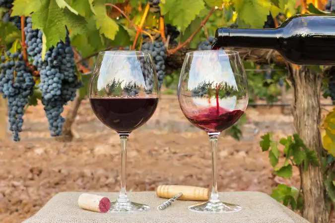 9 mejores Cabernet Sauvignons por menos de $ 25