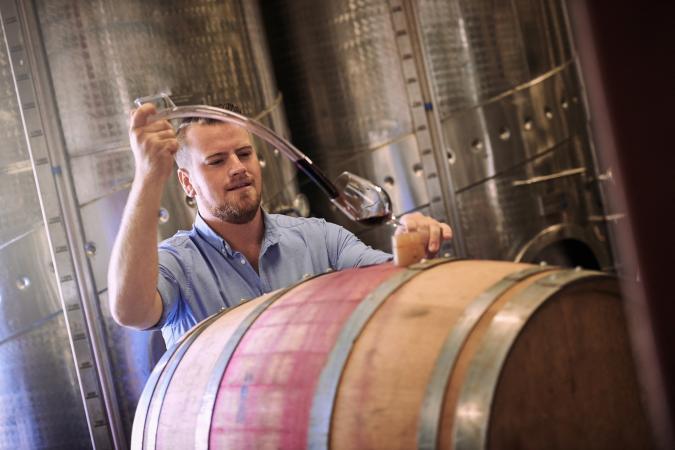 Cómo afecta la fermentación maloláctica al vino