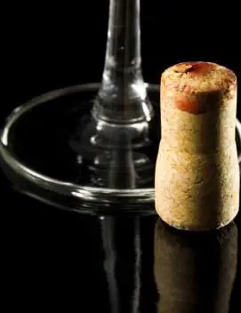 Aprenda los conceptos básicos de la degustación de vino tinto.