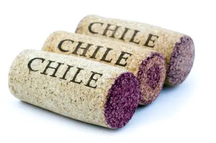 Corchos de vino chileno
