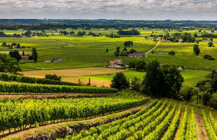 Bodegas de vino de Burdeos