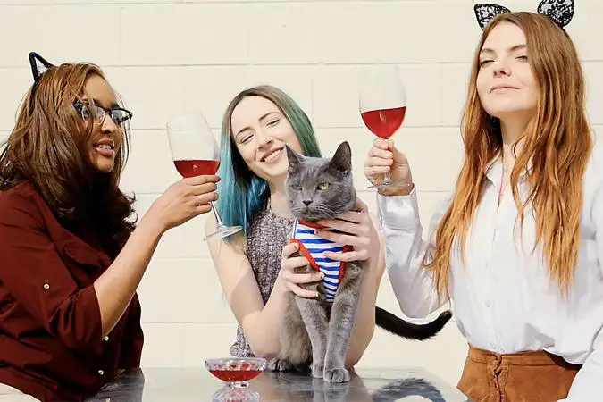 La historia real sobre el vino Apollo Peak para gatos