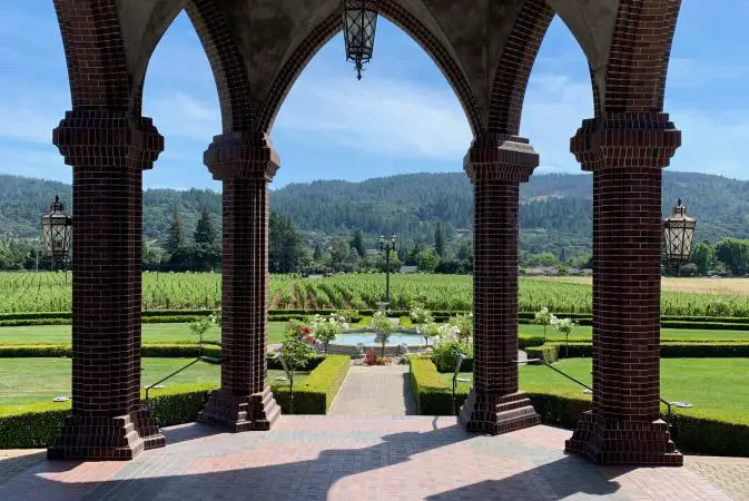 Vista del viñedo desde la bodega Ledson