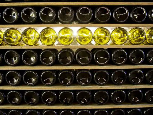 Instalación de almacenamiento de vino profesional