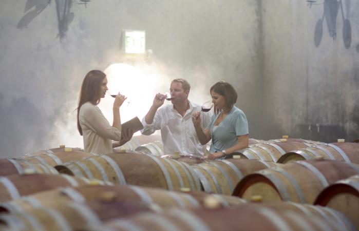 Gente degustando vino en bodega. 