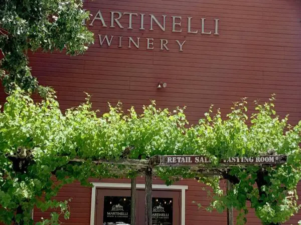 Planificación de una visita a la bodega Martinelli