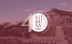 Ribera del Duero, un valle de ensueño