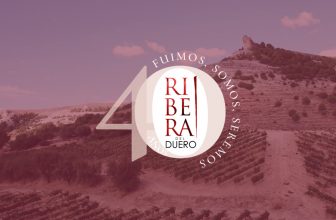 Ribera del Duero, un valle de ensueño