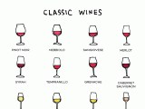 Definición de «vinos clásicos» (y el truco de la cata a ciegas)