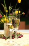 Los 10 mejores vinos espumosos que jamás hayas probado