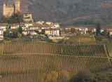 Una guía de los vinos icónicos de Gaja
