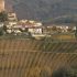 Cómo Beaulieu Vinyards convirtió la tragedia en triunfo
