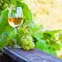 7 fáciles sustitutos del vino Marsala