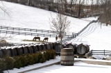 17 encantadoras bodegas de Ohio para visitar