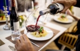 Guías sobre referencias que marcan tendencia: Todo sobre vino malafolla