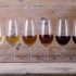 10 consejos para realizar su propia cata de vinos