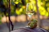 7 mejores vinos Chardonnay de California