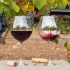 Definiciones y terminología del vino