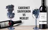 Cómo elegir: Cabernet vs Merlot
