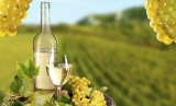 Chardonnay | Vinos Espumosos