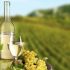 Acerca del vino Sauvignon Blanc: sabor, regiones y maridaje de alimentos