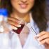 Guía de vinos italianos de Merlot con 8 marcas principales