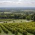 Los mejores vinos y chardonnays de Neyers Vineyards