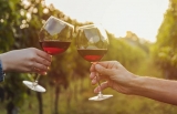 Lo que debe saber sobre las copas de vino Merlot