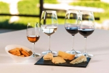 Maridaje entre Vinos y Quesos