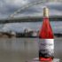 Dominar el arte del vino y el maridaje de vinos