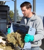 Revisión de James Michael de Oregon Pinot Noirs